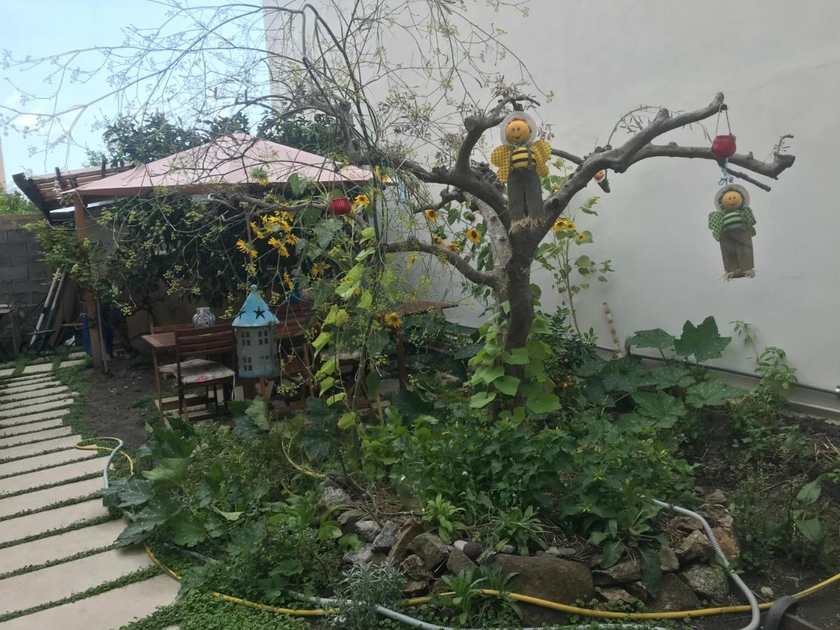 富尔奇西库洛La Zagara住宿加早餐旅馆 外观 照片